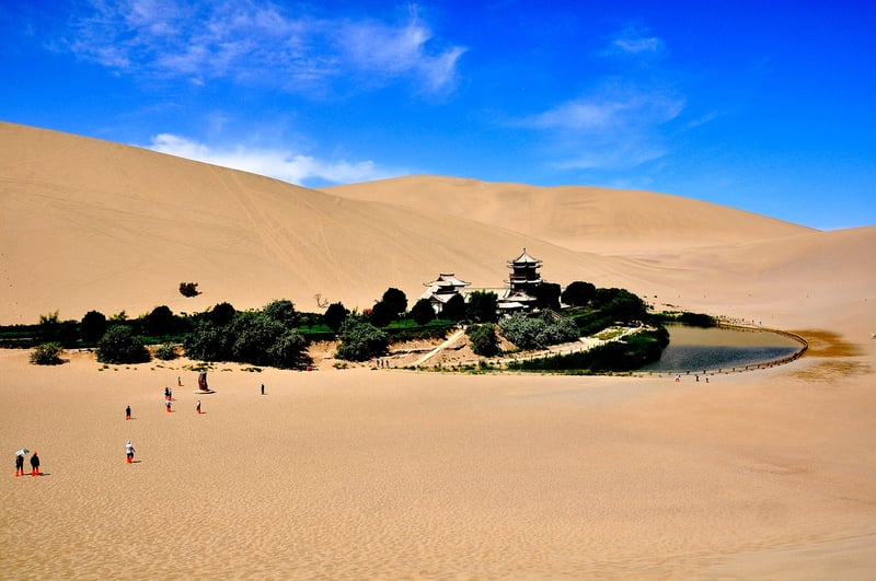 Desert Oasis