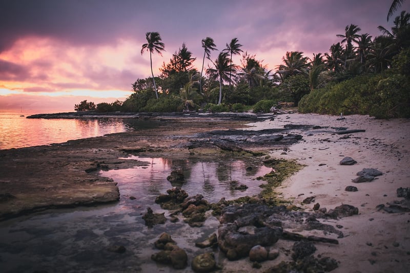Island Paradise