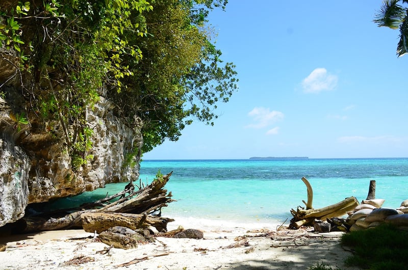 Tropical Getaway